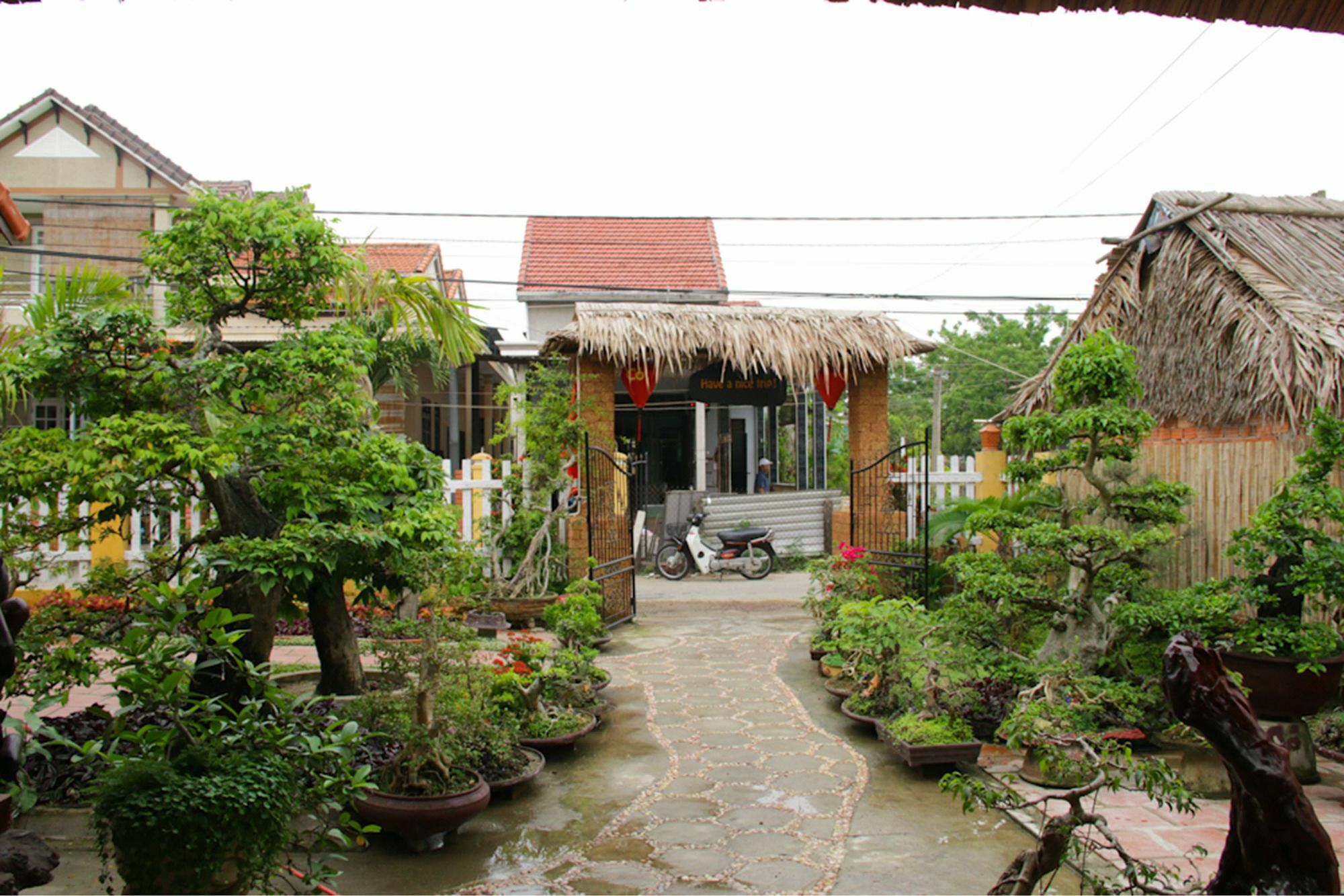 The Grass Vy Apartment Хой Ан Екстериор снимка